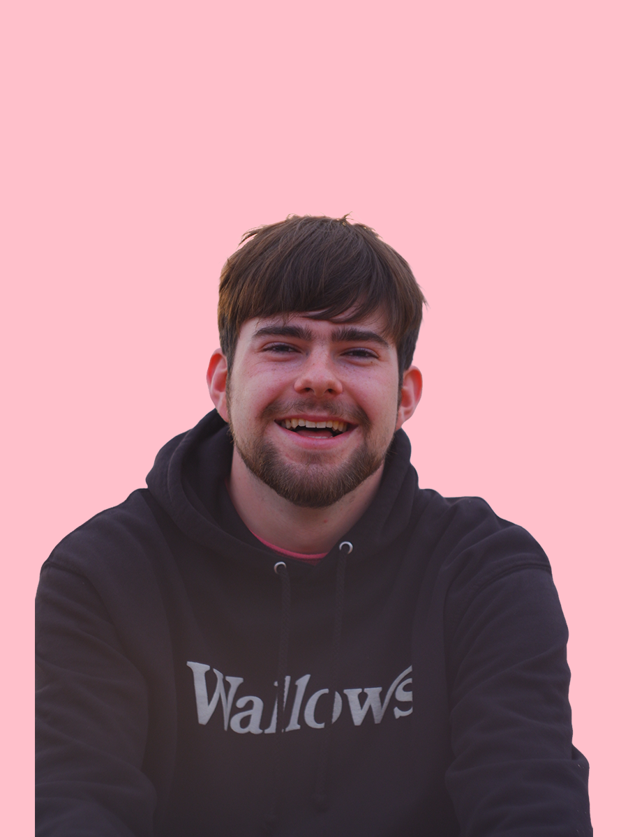 a portrait of my face